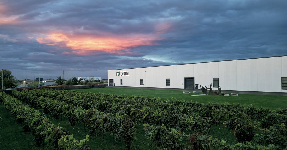 Florim publishes the 16th edition of its Sustainability Report | Florim