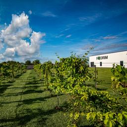 Sostenibilità | Florim
